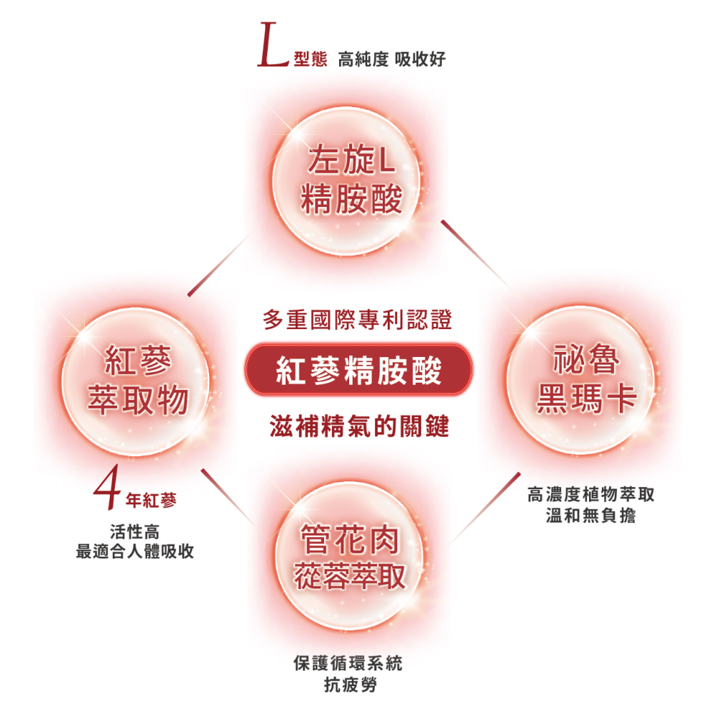 【精氣活力】穩尊榮 韓國紅嵾 胺基酸 (30顆/入)