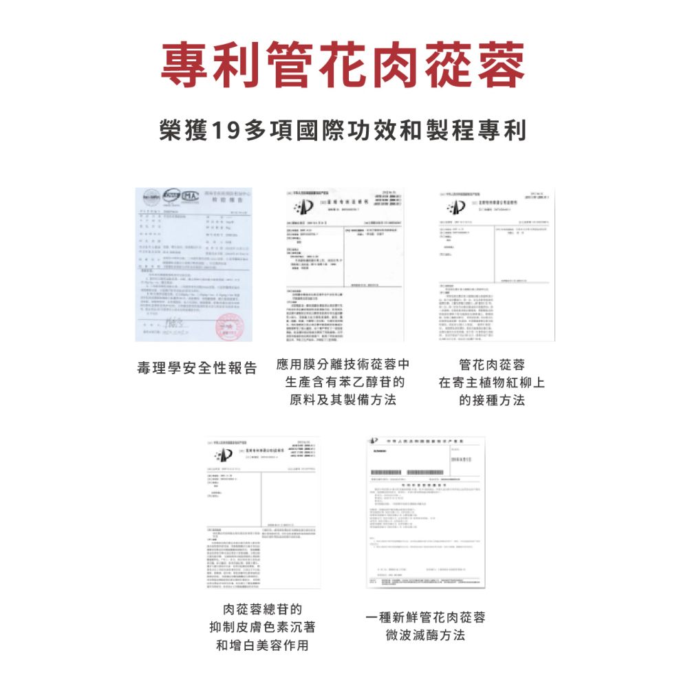 【精氣活力】穩尊榮 韓國紅嵾 胺基酸 (30顆/入)